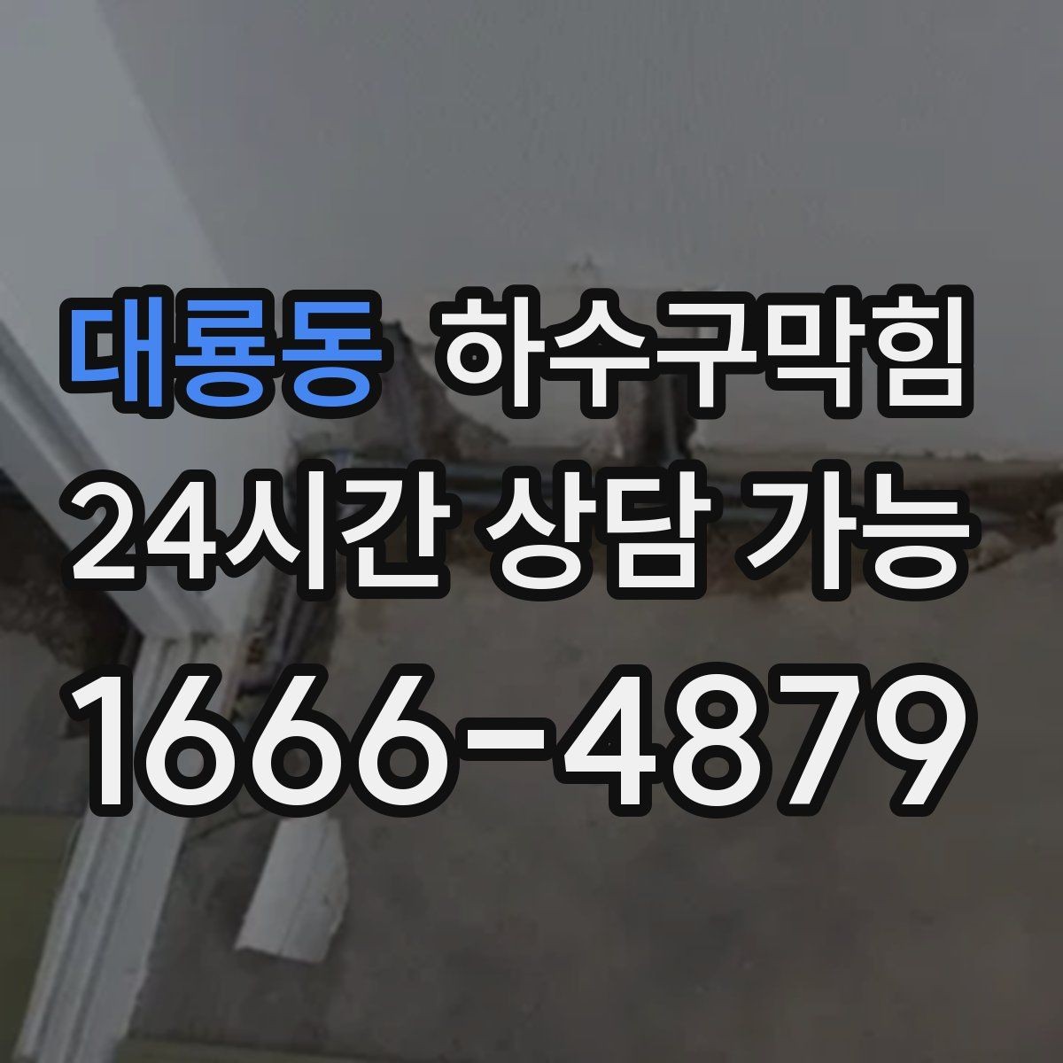 대룡동 하수구막힘 지하창고 습기와 상자의 상태 보고서
