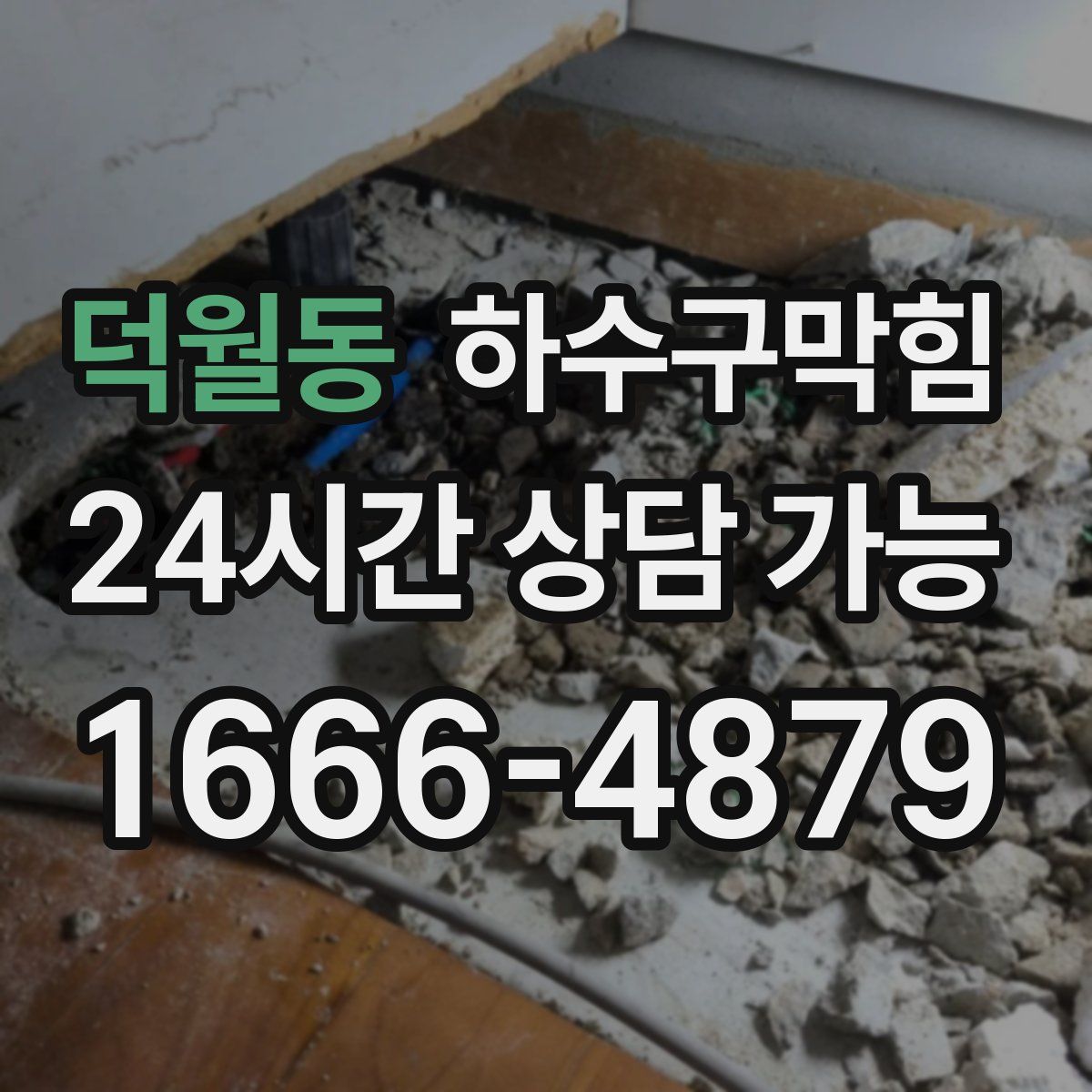 덕월동 하수구막힘