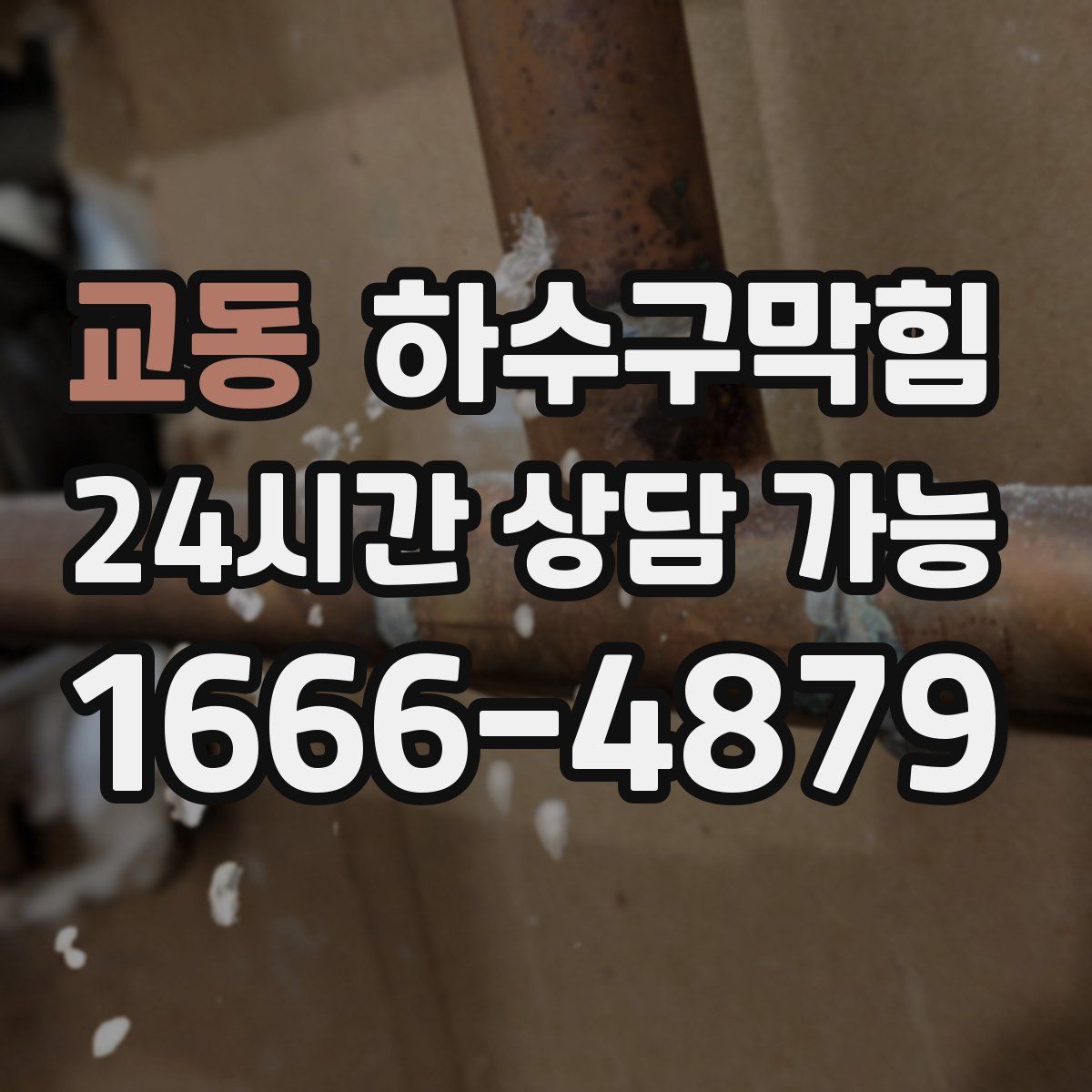 교동 하수구막힘