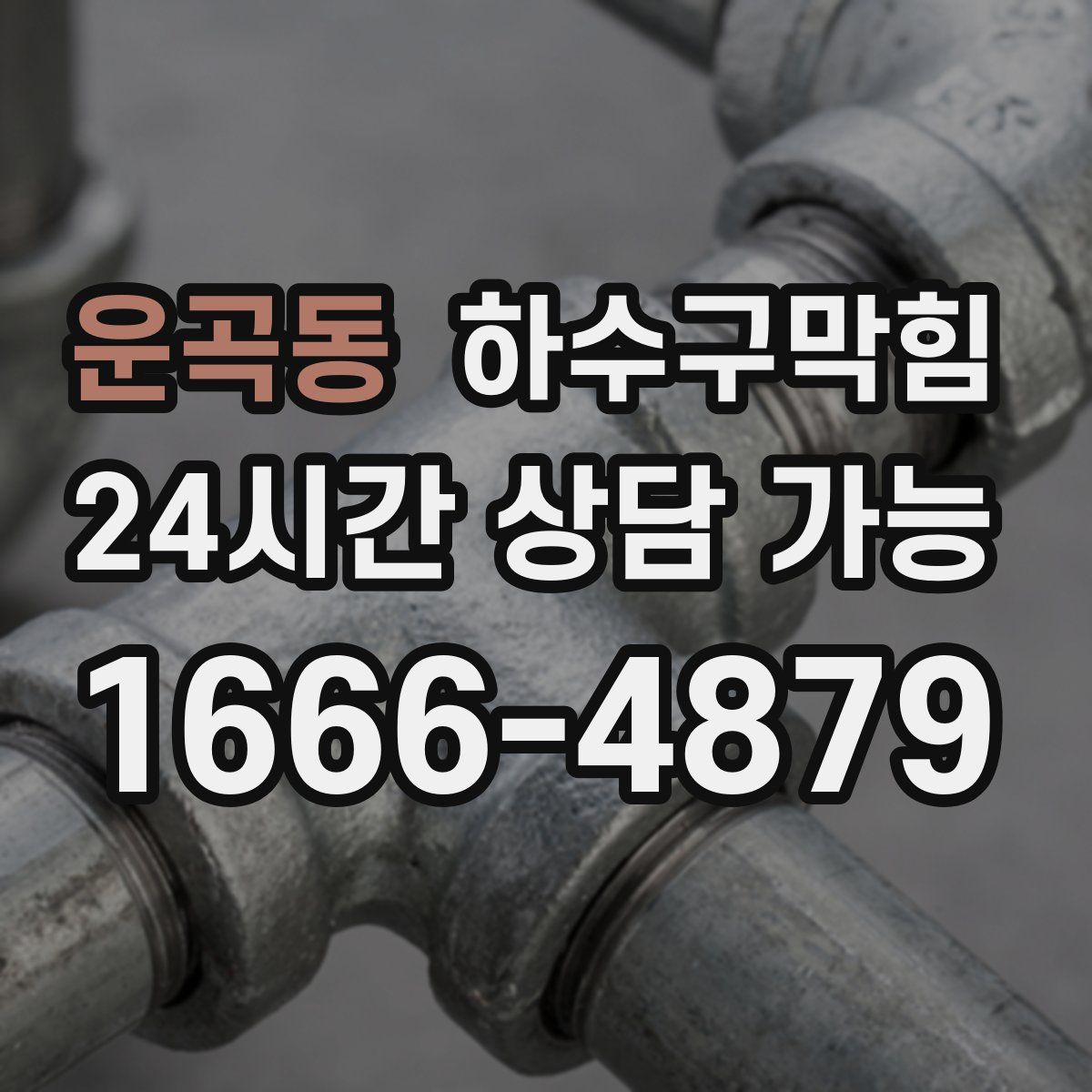 운곡동 하수구막힘