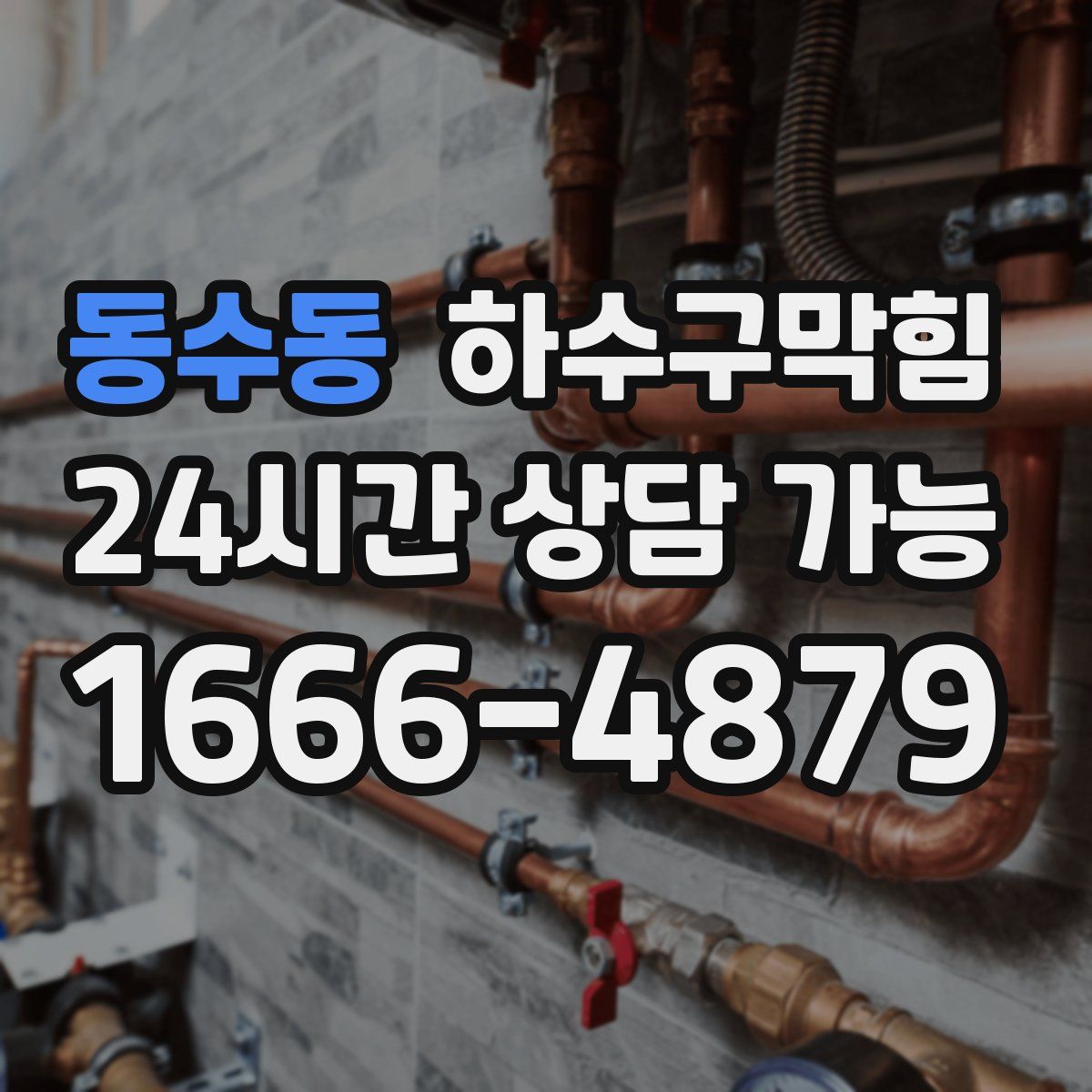 동수동 하수구막힘