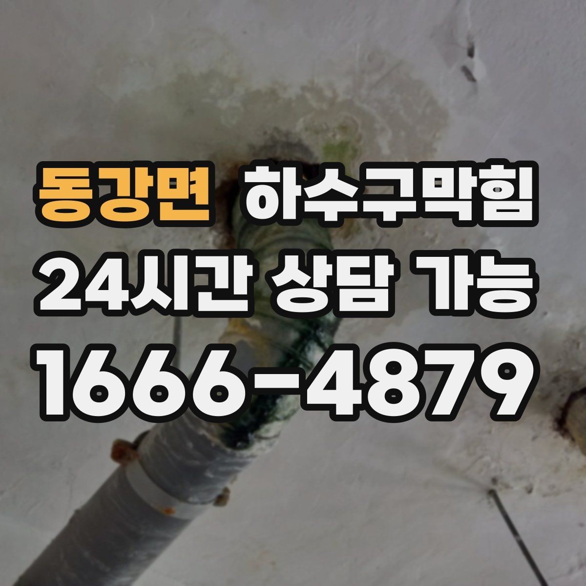 동강면 하수구막힘 카페 변기뚫는방법만 믿기 어려웠던 이유