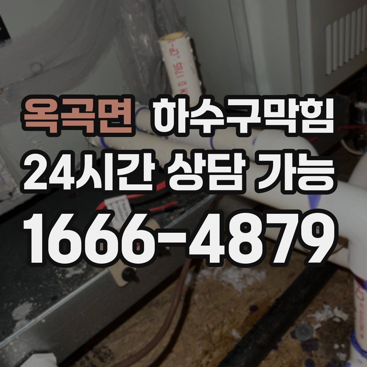 옥곡면 하수구막힘 매장 음악이 잦아들던 시간의 비밀