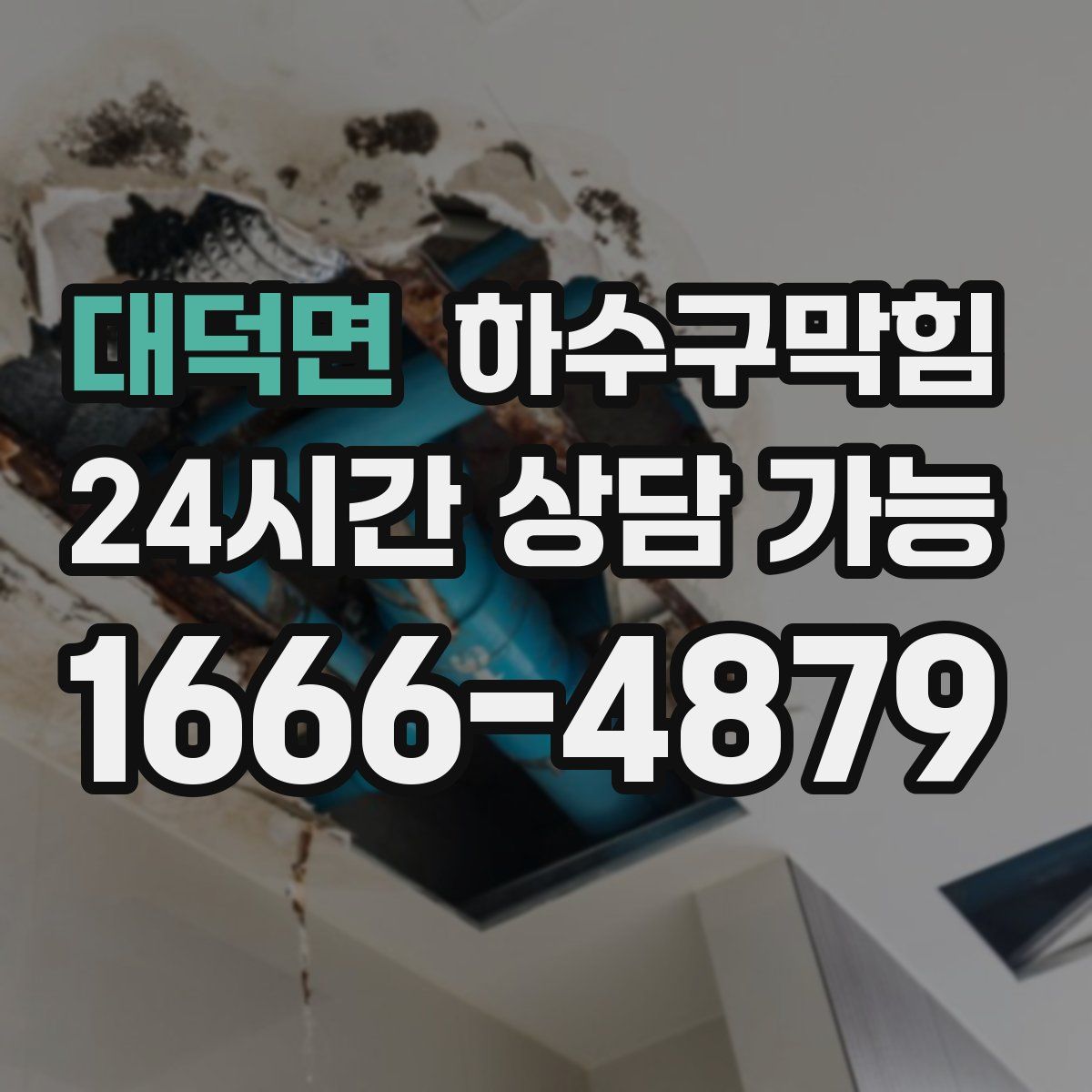 대덕면 하수구막힘