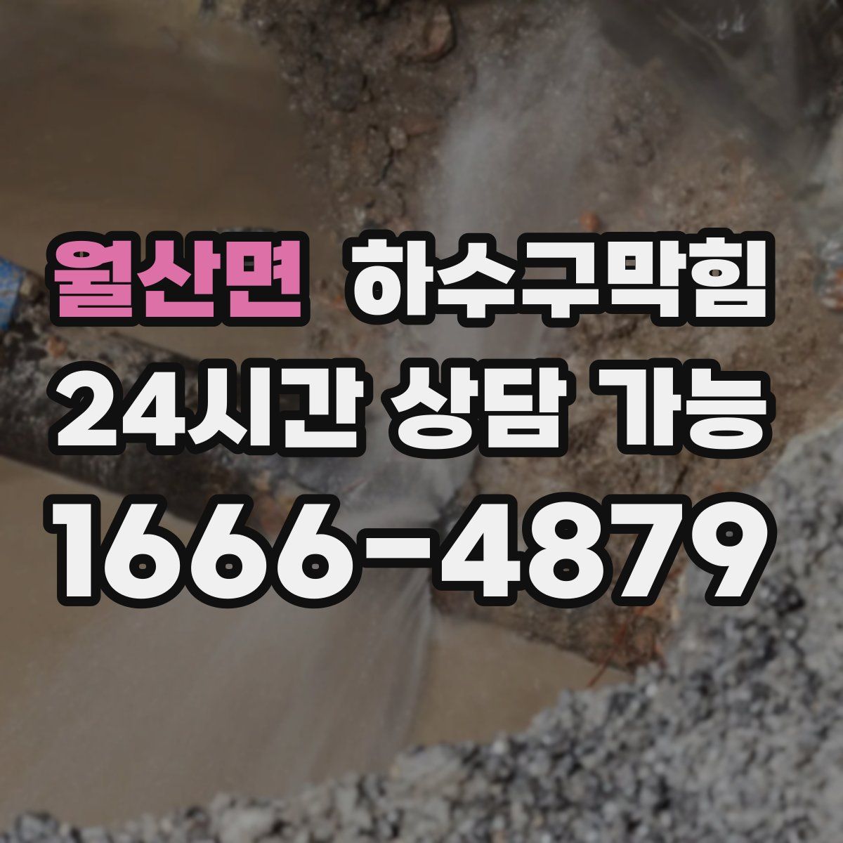 월산면 하수구막힘