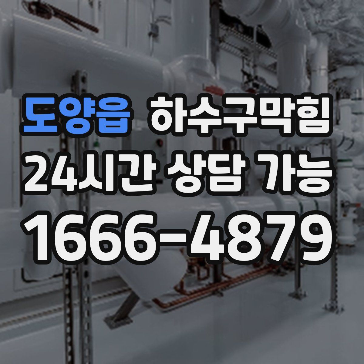 도양읍 하수구막힘