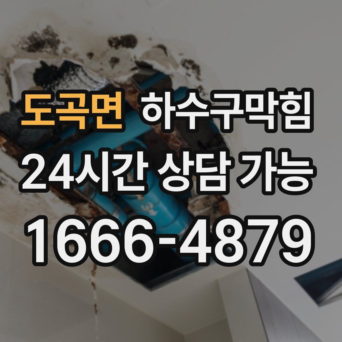 도곡면 하수구막힘