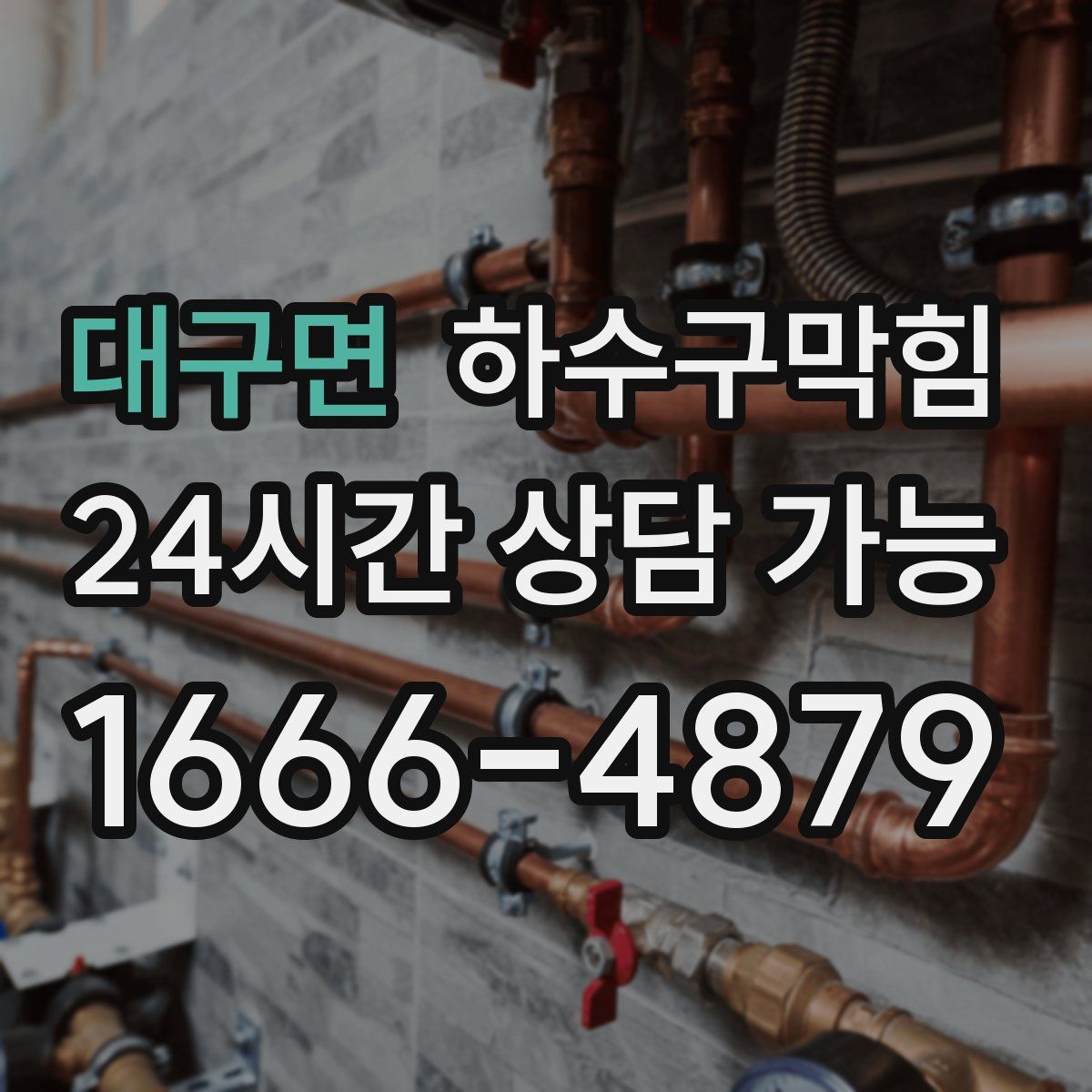 대구면 하수구막힘