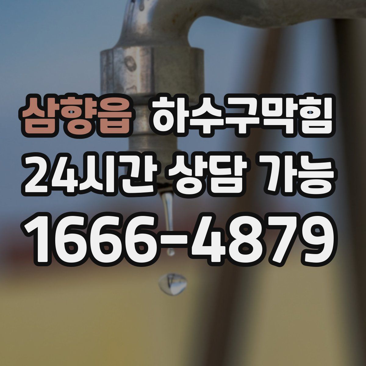 삼향읍 하수구막힘