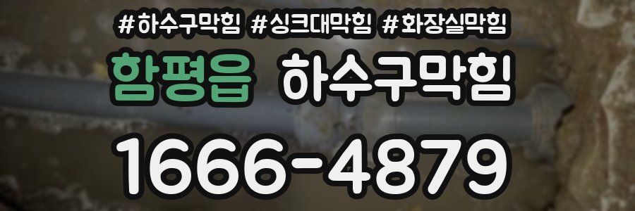 하수구막힘