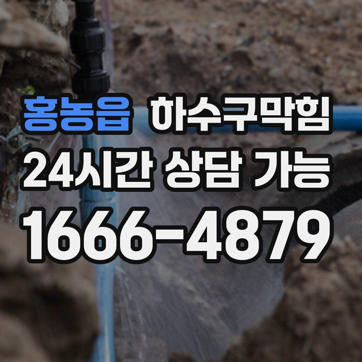 홍농읍 하수구막힘