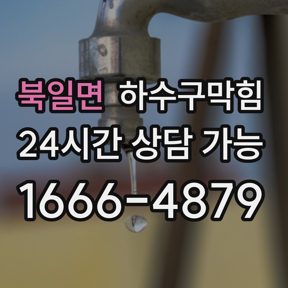 북일면 하수구막힘 카페 피크 타임 전후 분리 작업