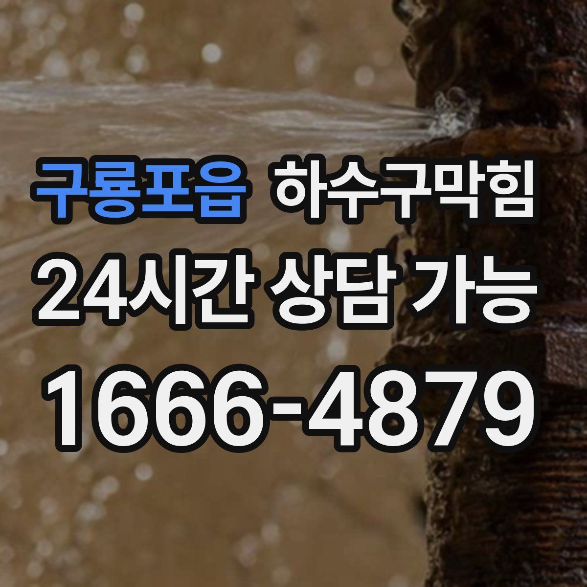 구룡포읍 하수구막힘