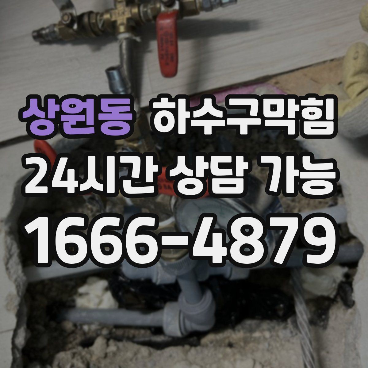 상원동 하수구막힘 캣타워 아래 모인 물자국의 의미