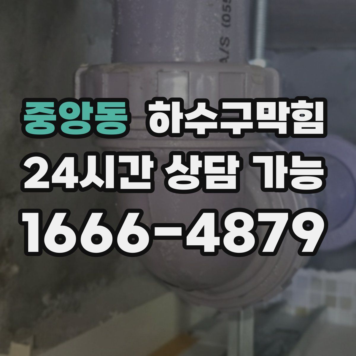 중앙동 하수구막힘