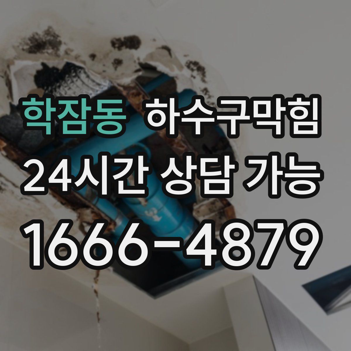 학잠동 하수구막힘