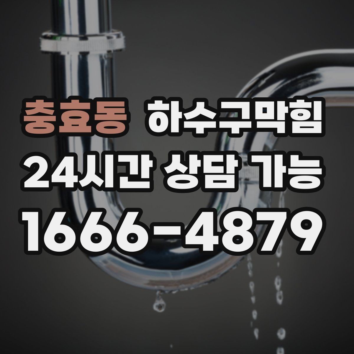 충효동 하수구막힘 아파트 하수구뚫기 후 현관 화분 잎이 살아난 날