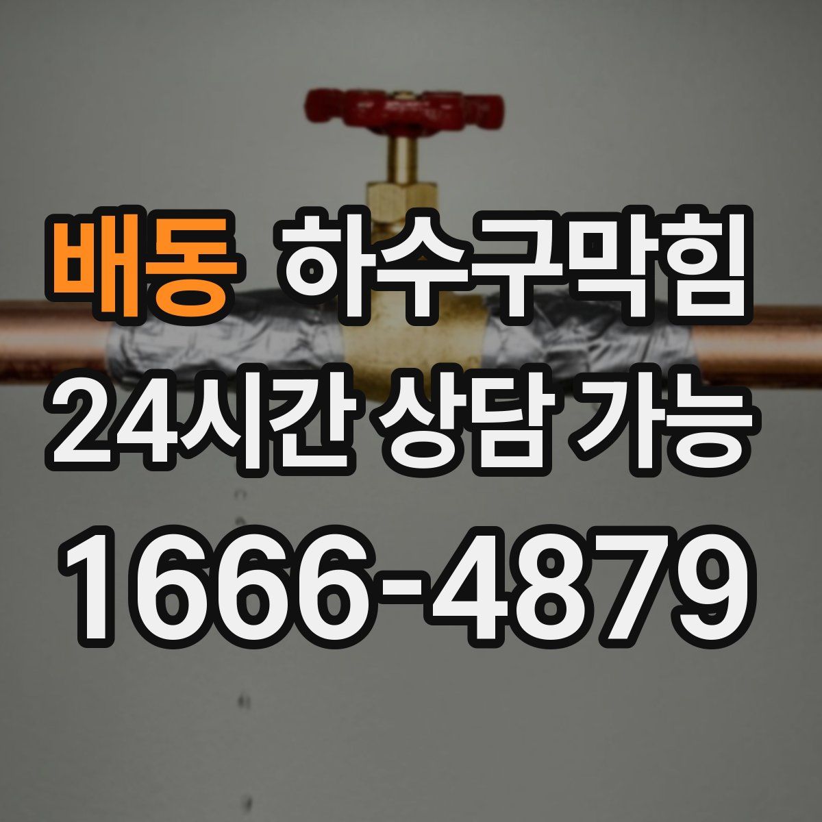 배동 하수구막힘