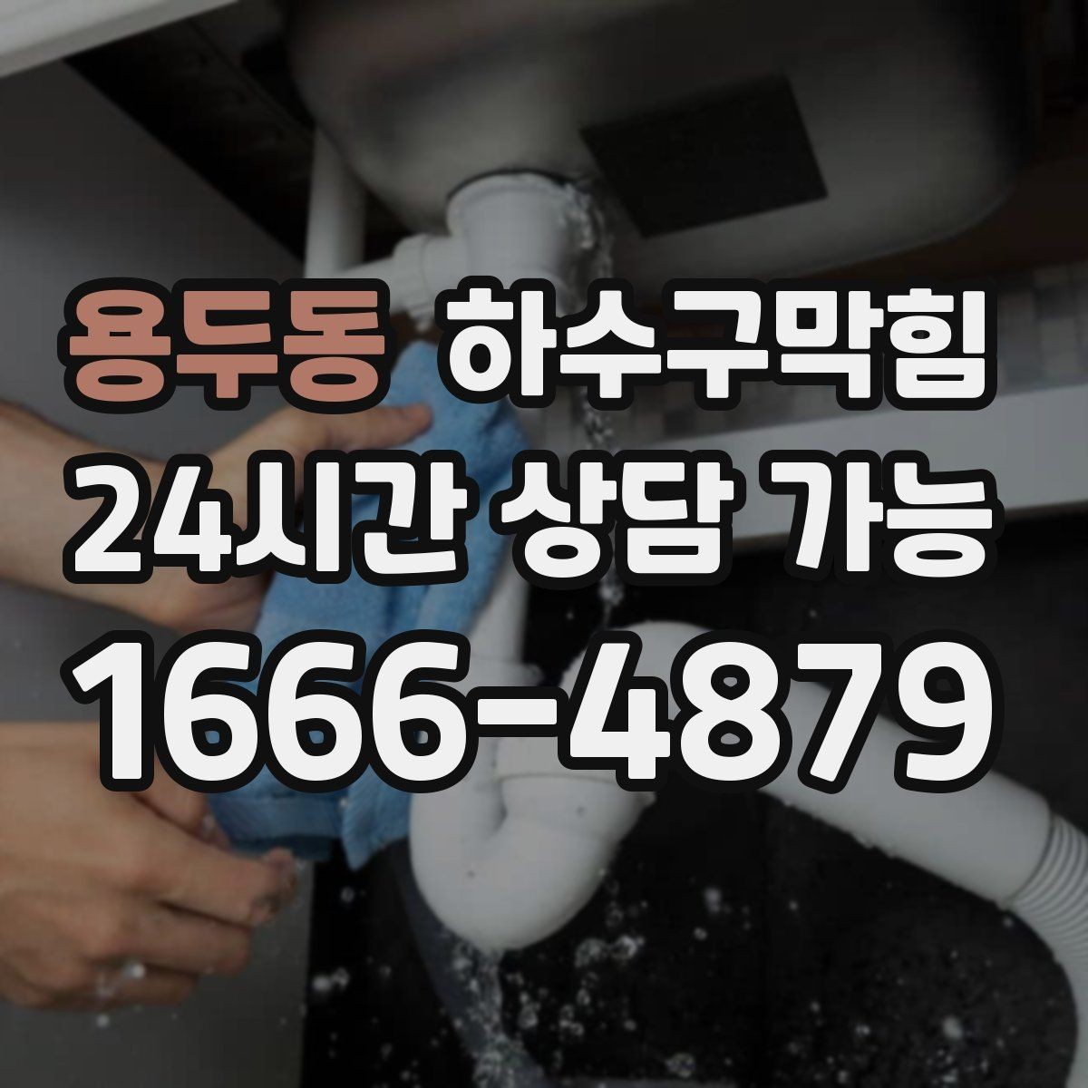 용두동 하수구막힘 충전 스테이션 근처의 불청객