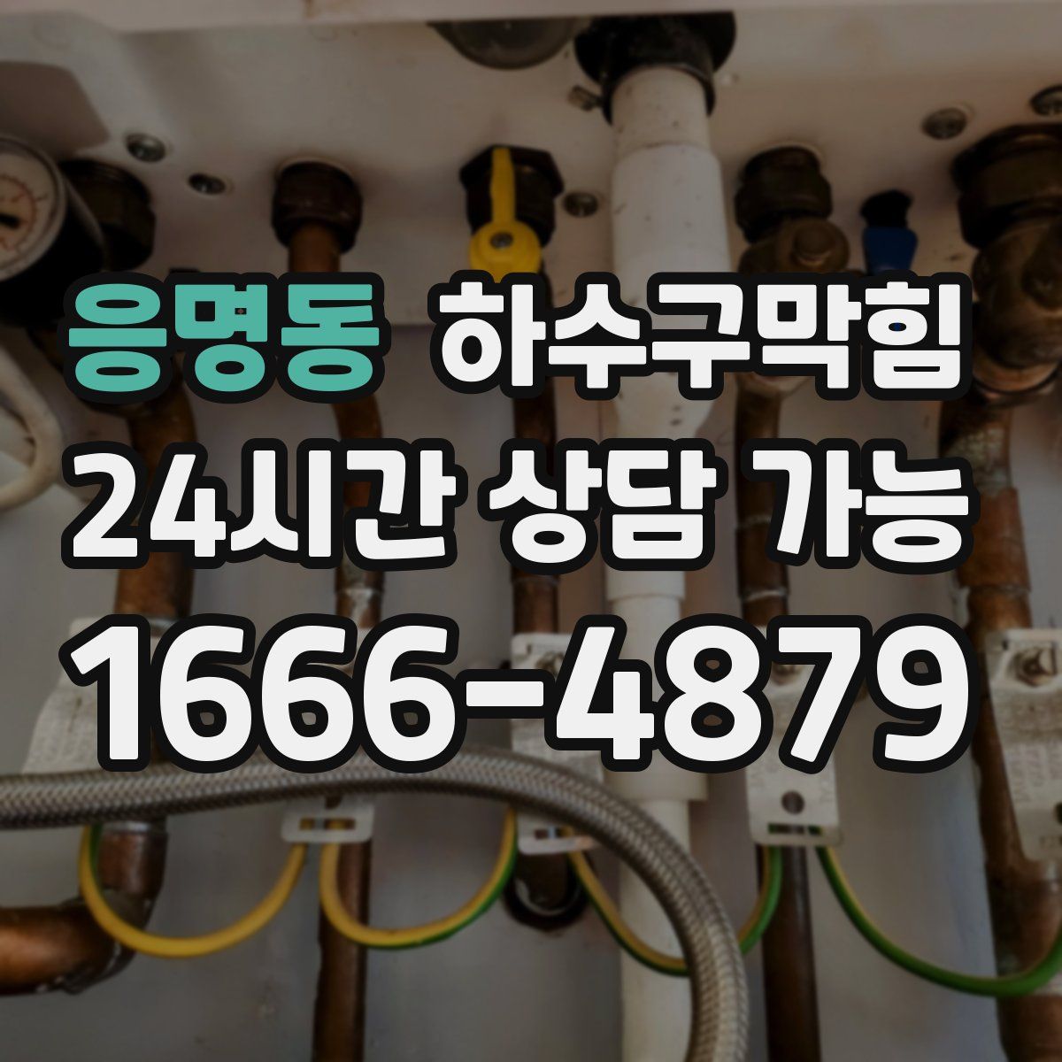 응명동 하수구막힘