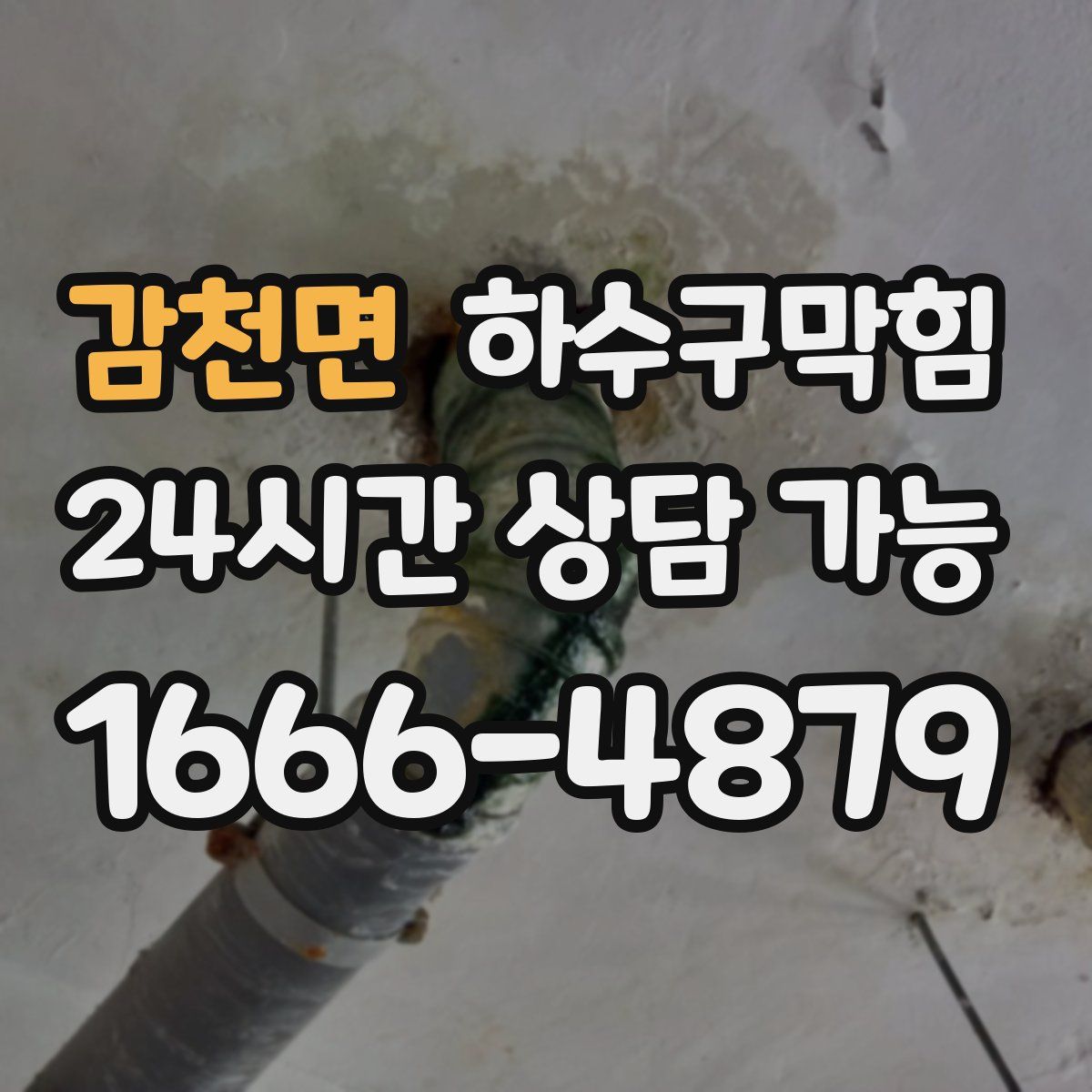 감천면 하수구막힘