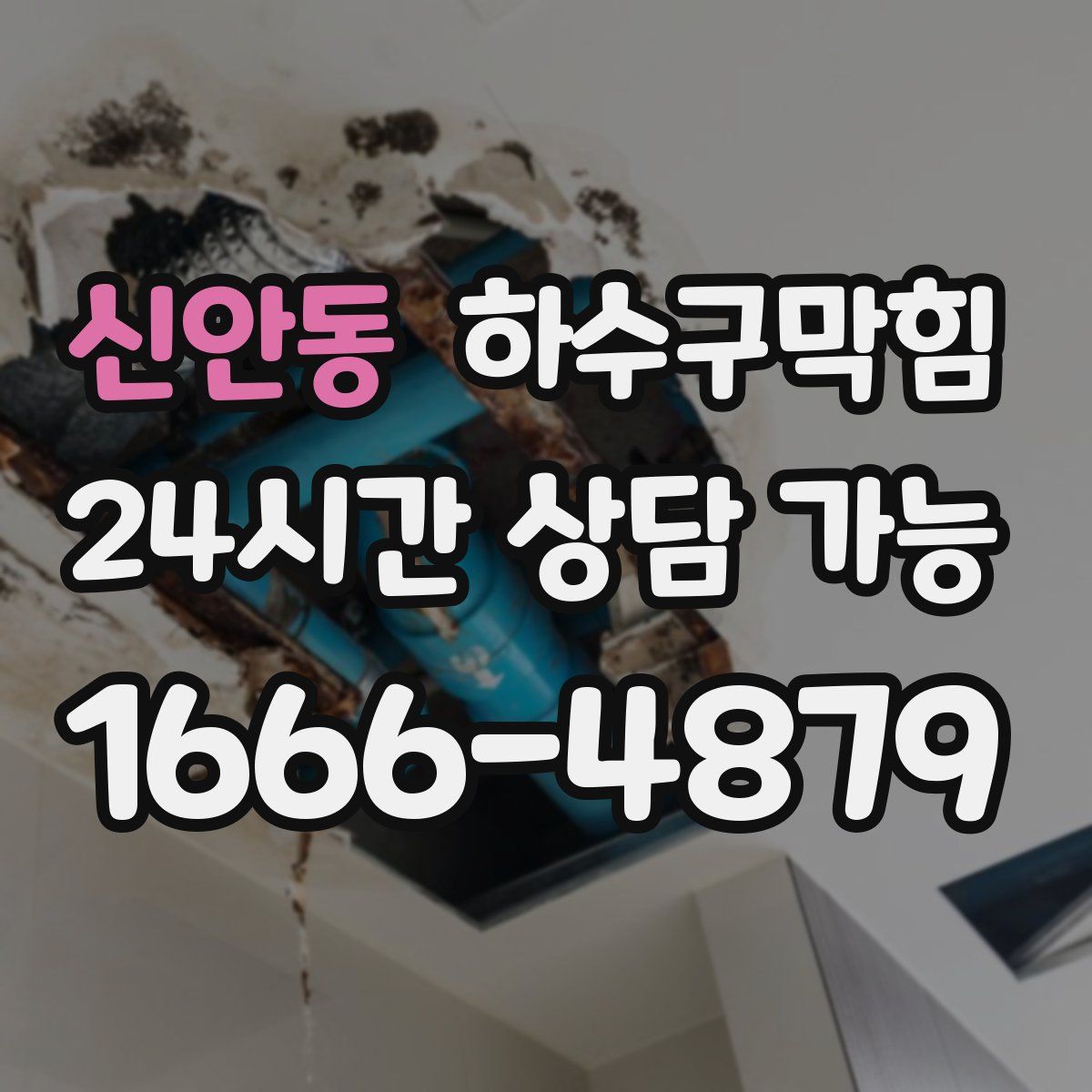 신안동 하수구막힘