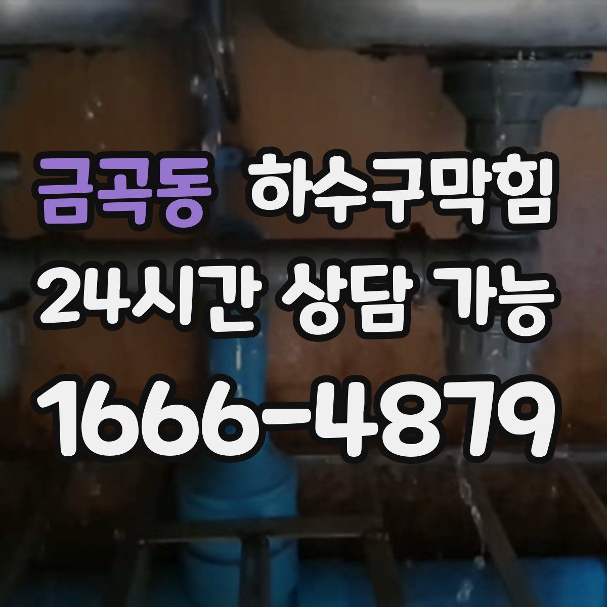 금곡동 하수구막힘