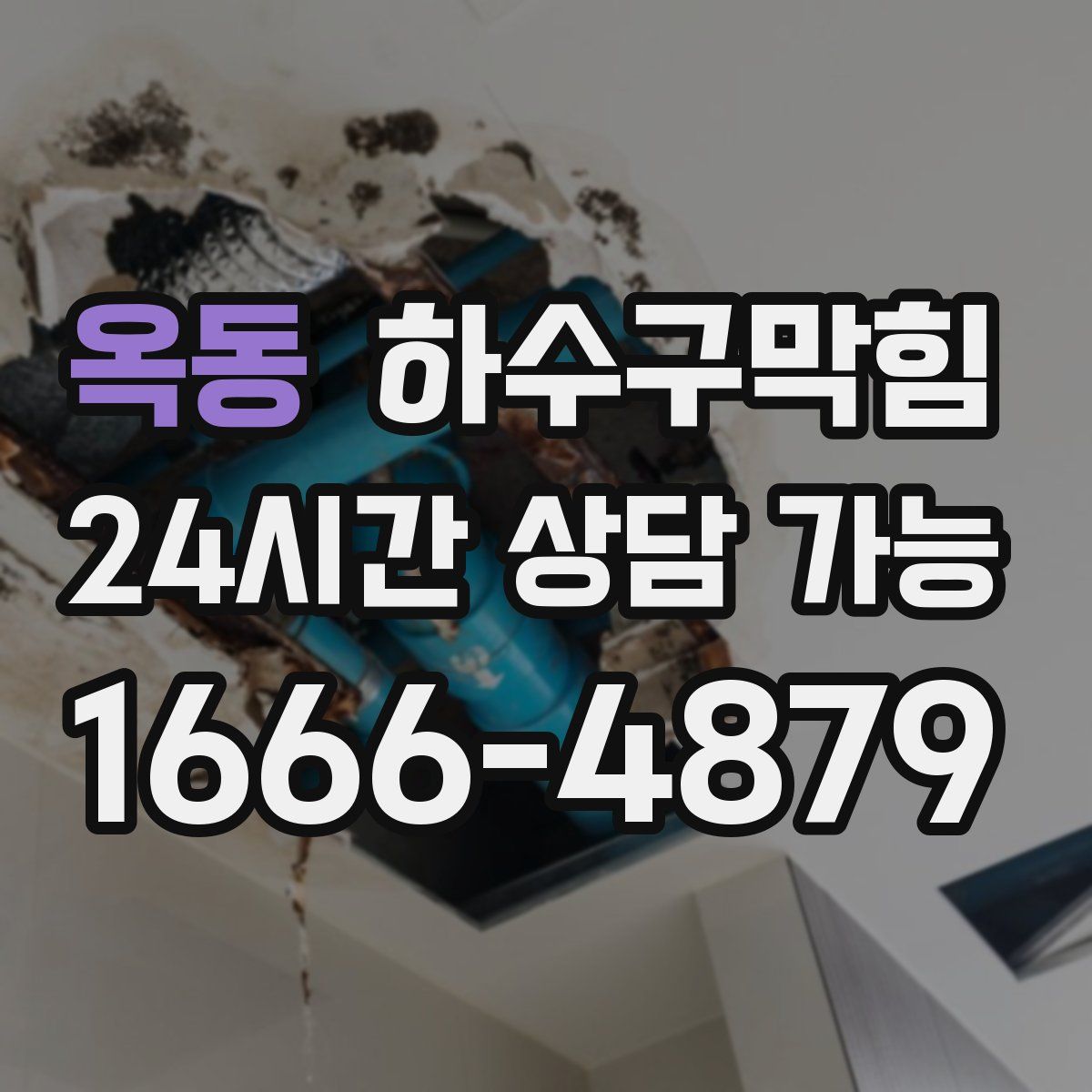 옥동 하수구막힘