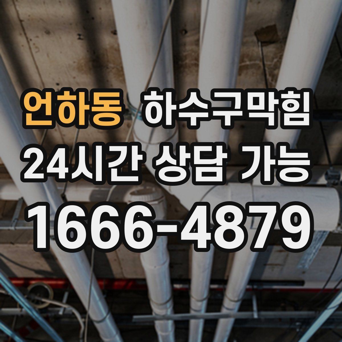 언하동 하수구막힘 싱크 하부 곰팡이와 냄새의 연결고리