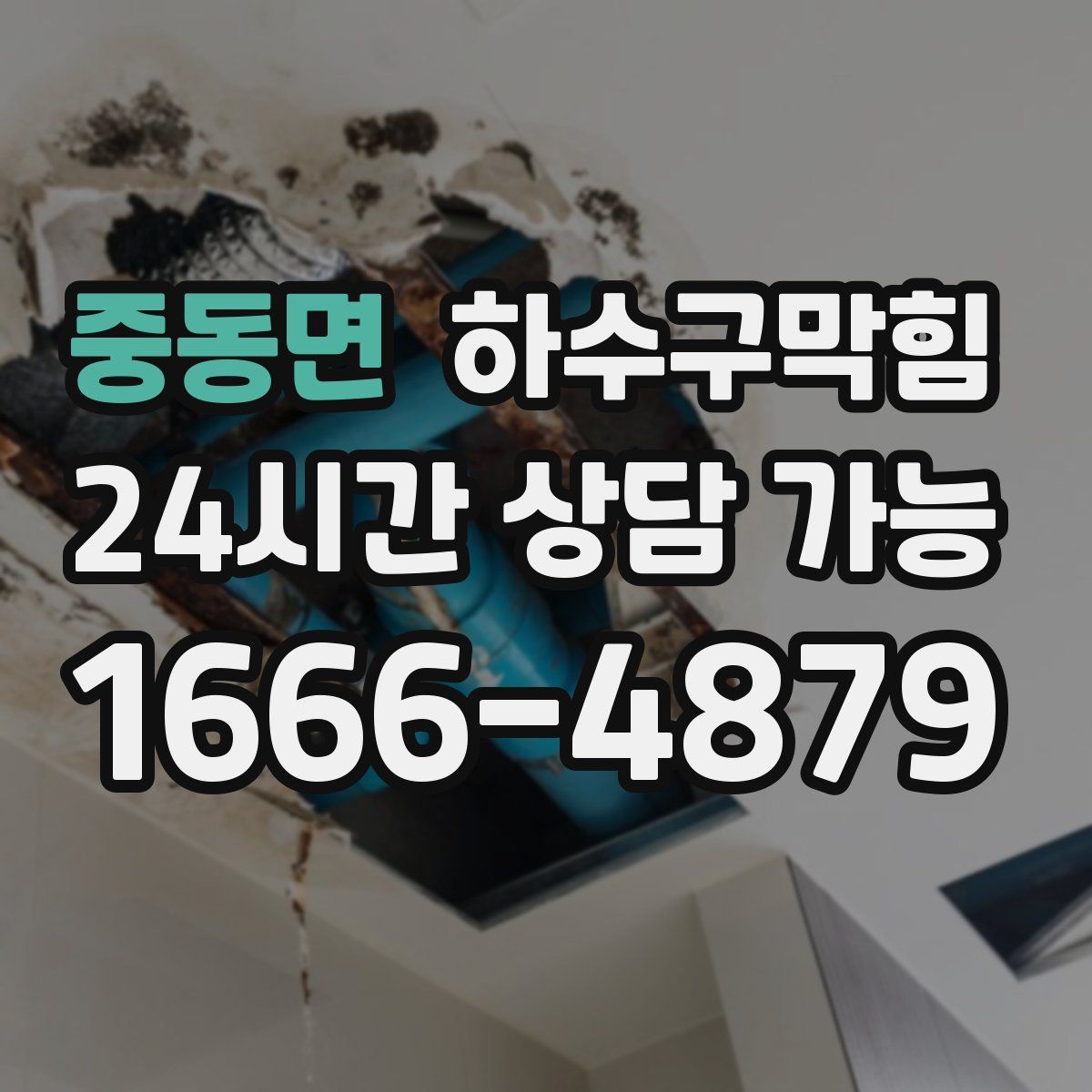 중동면 하수구막힘