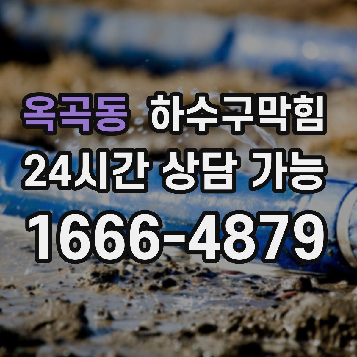 옥곡동 하수구막힘