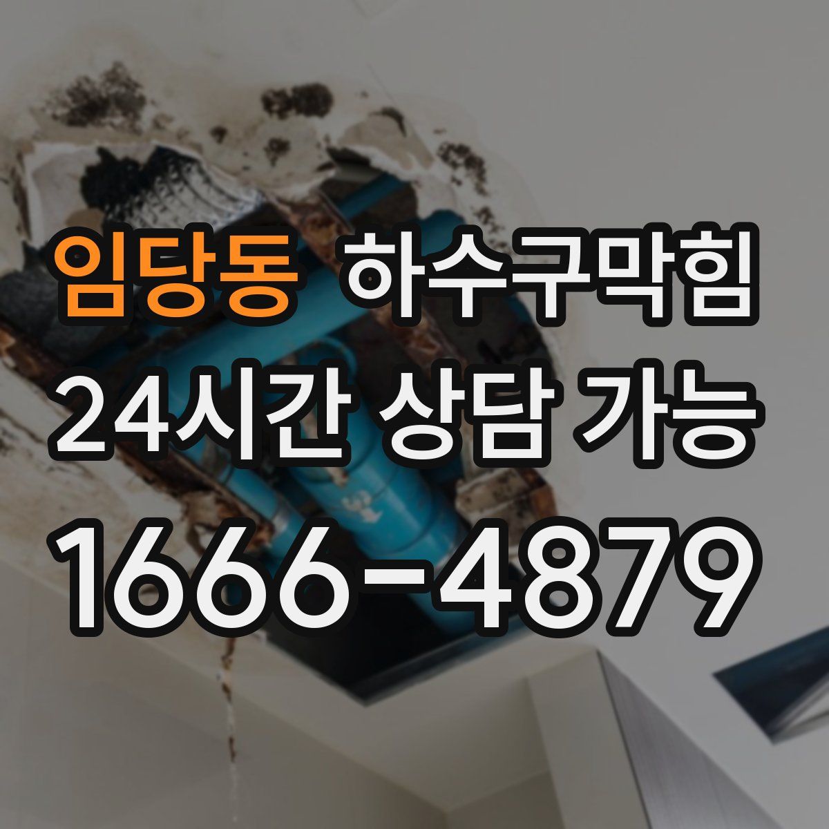 임당동 하수구막힘