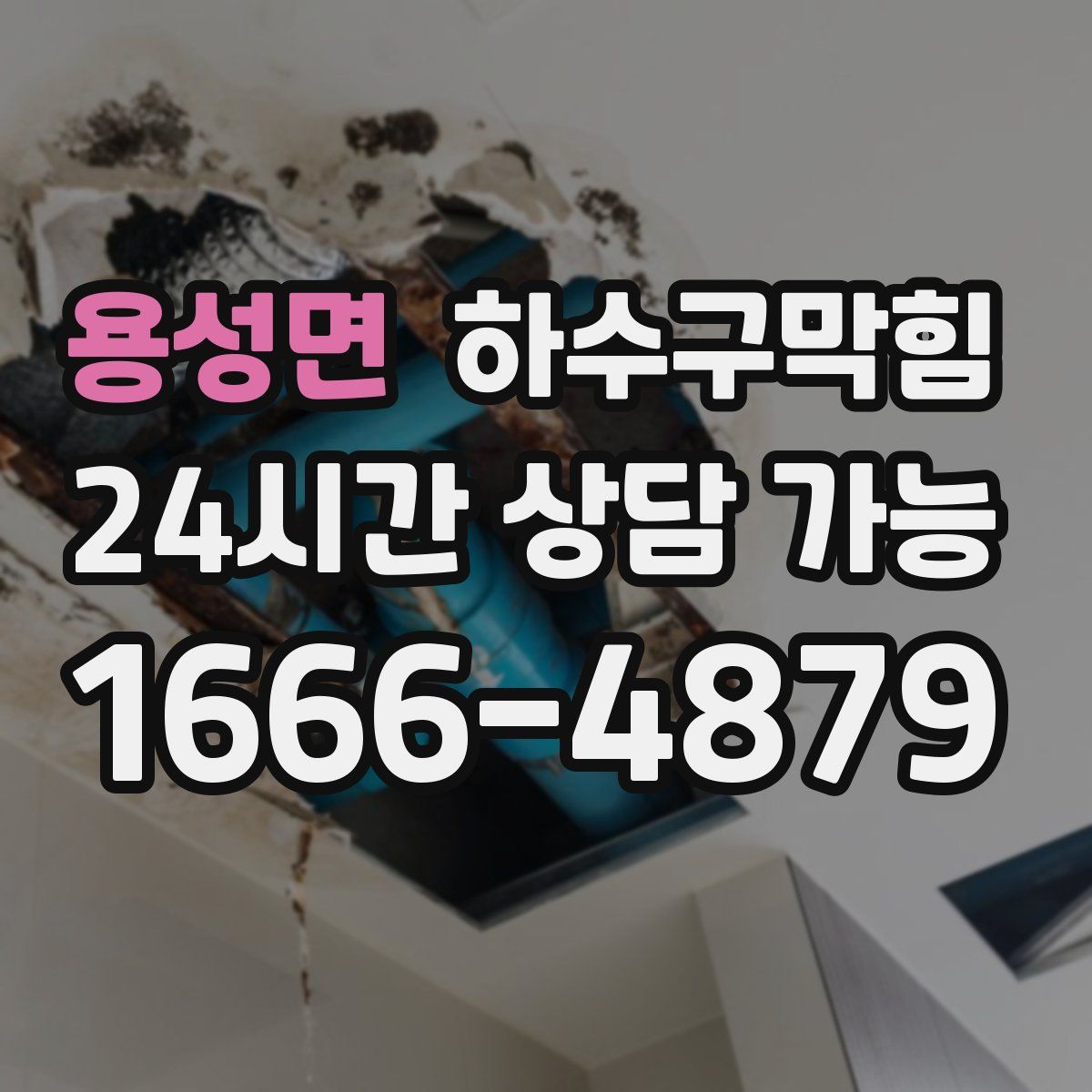 용성면 하수구막힘