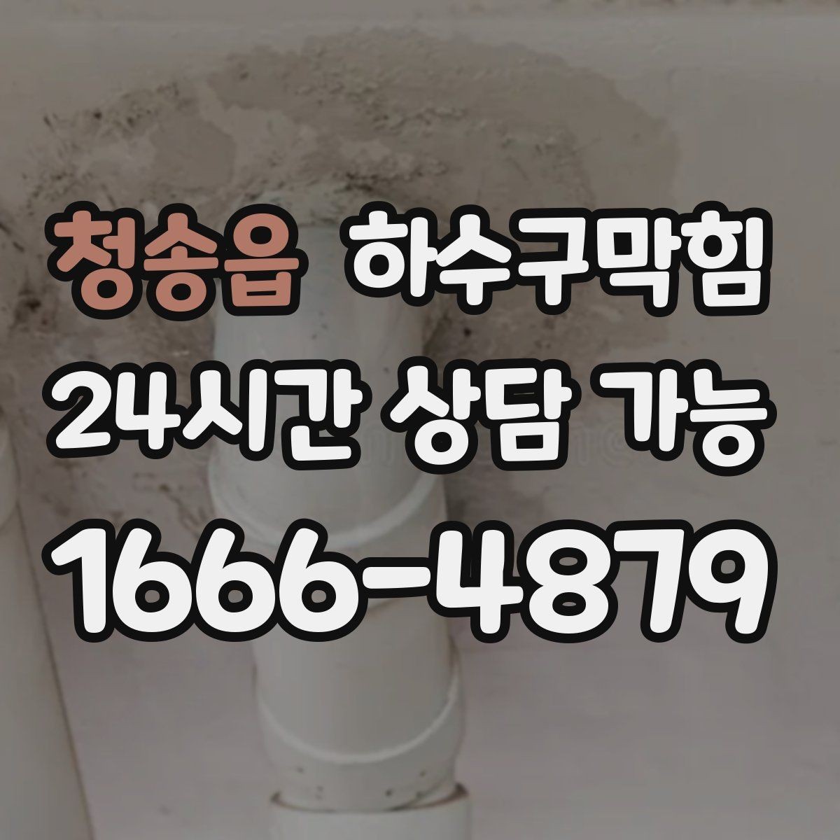 청송읍 하수구막힘 공용 사물함 손잡이가 미끈했던 날