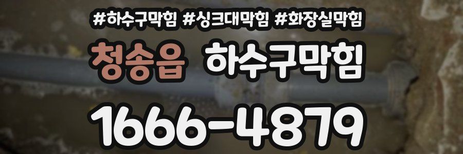 하수구막힘