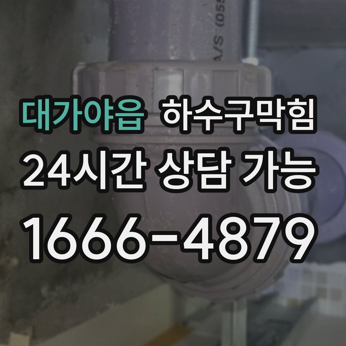 대가야읍 하수구막힘 현관 앞 젖은 자국이 말하는 신호