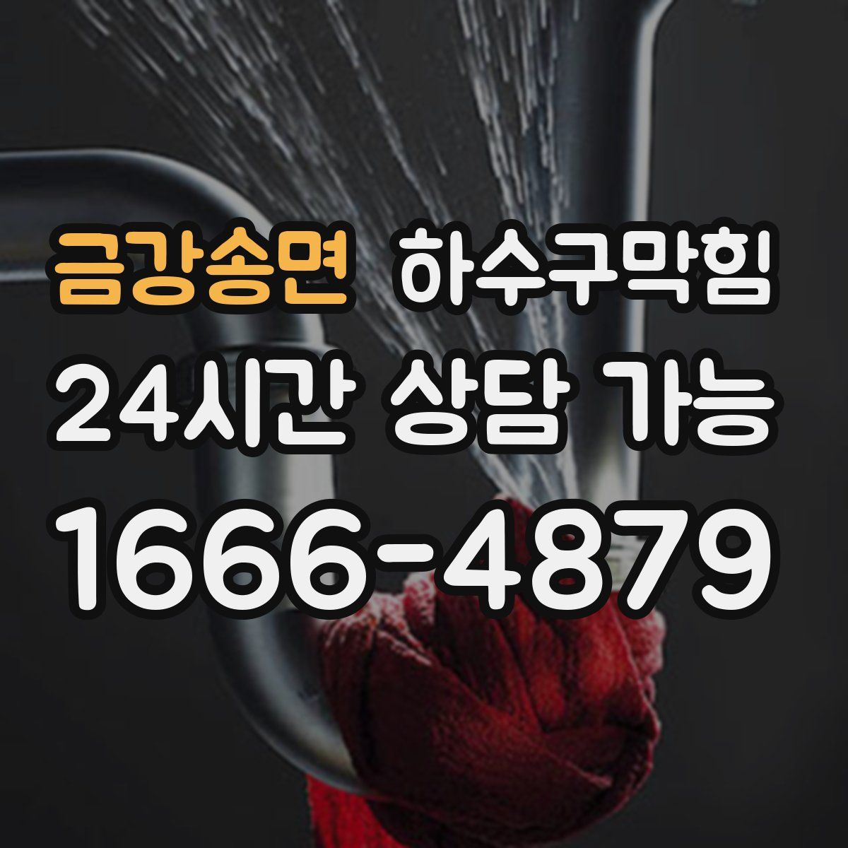 금강송면 하수구막힘