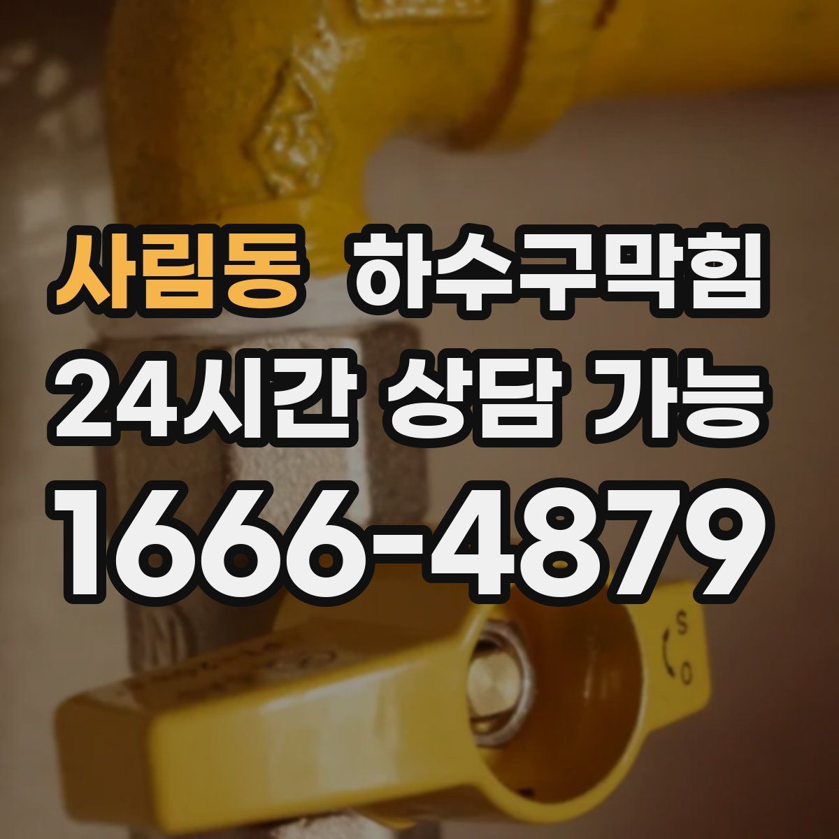 사림동 하수구막힘