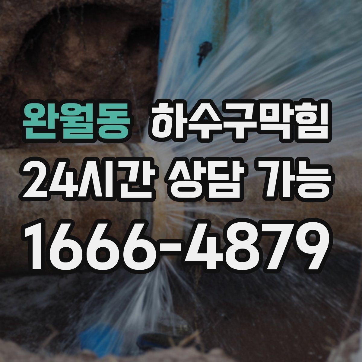 완월동 하수구막힘 입간판 베이스가 미끄럽던 오후