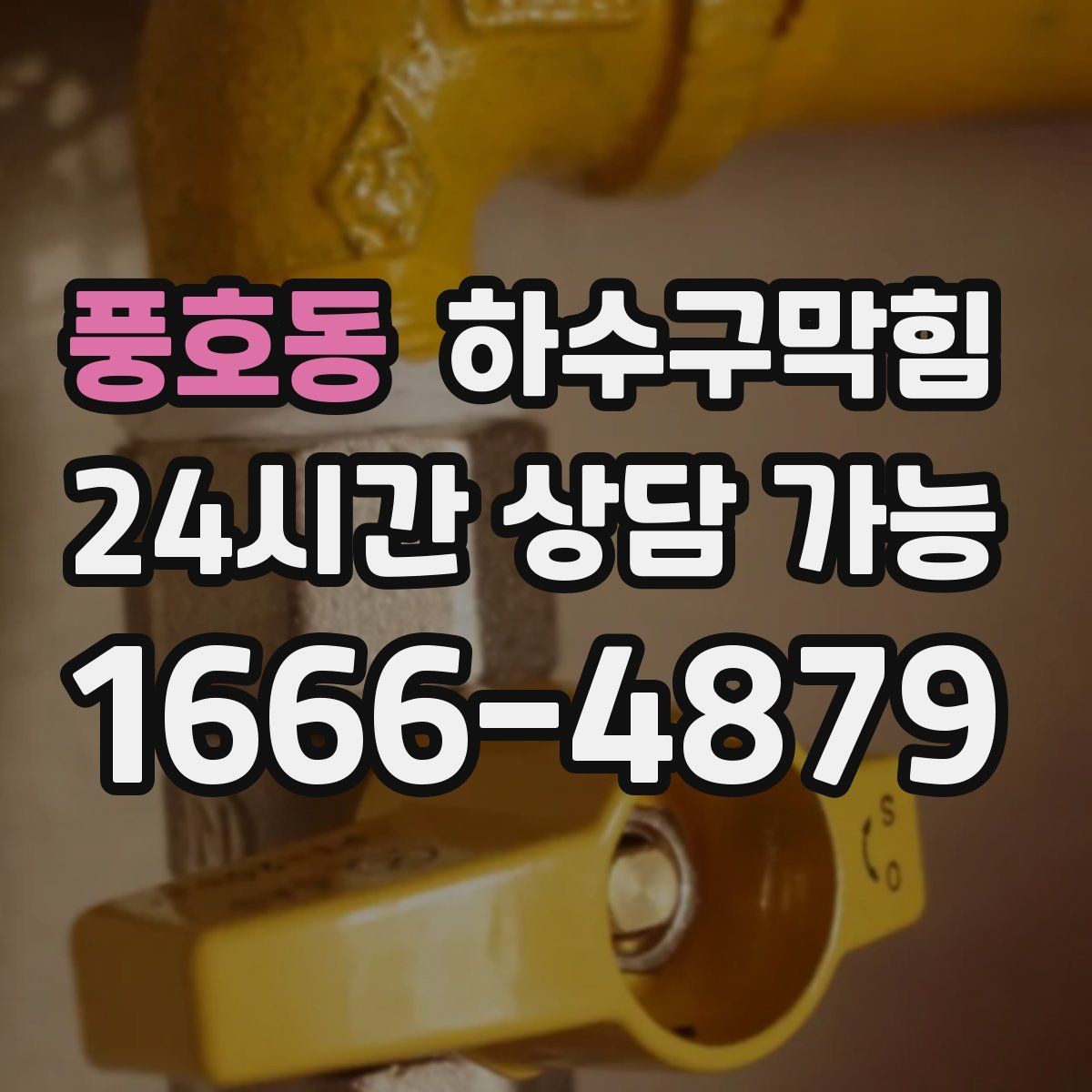 풍호동 하수구막힘 현관 우편물에 번진 작은 물무늬