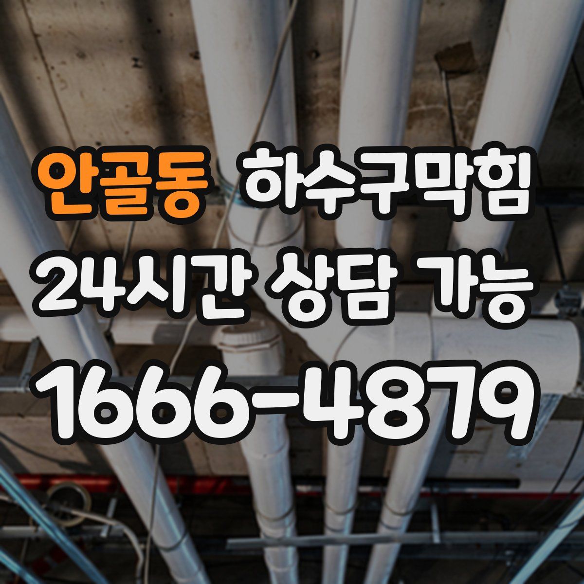 안골동 하수구막힘