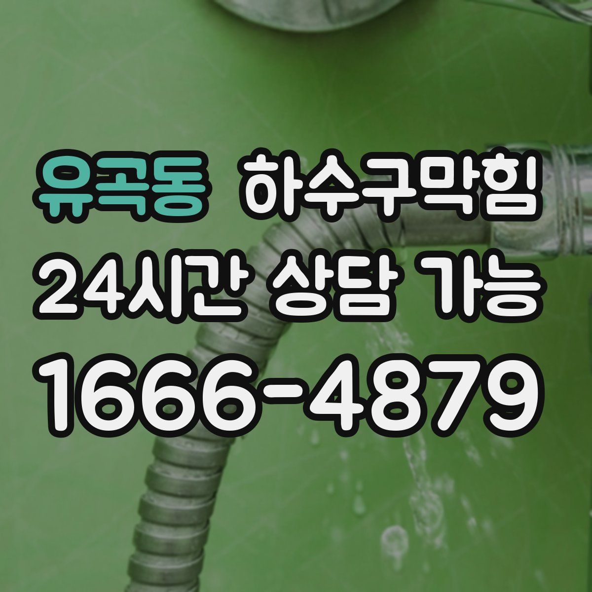 유곡동 하수구막힘