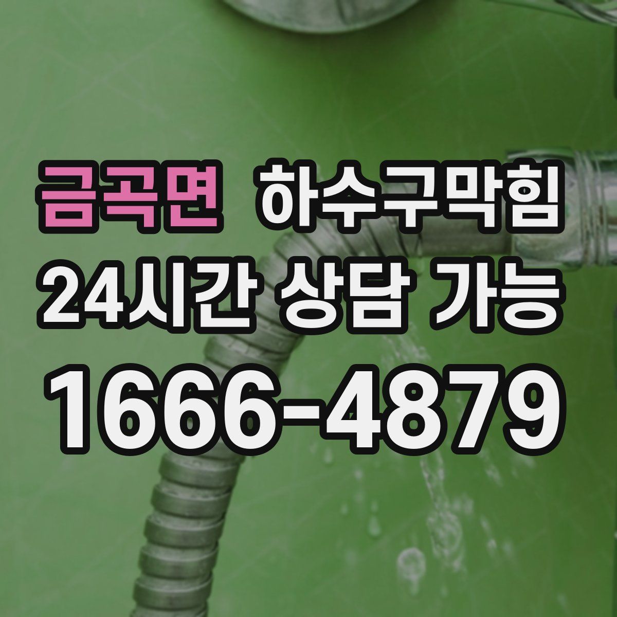 금곡면 하수구막힘