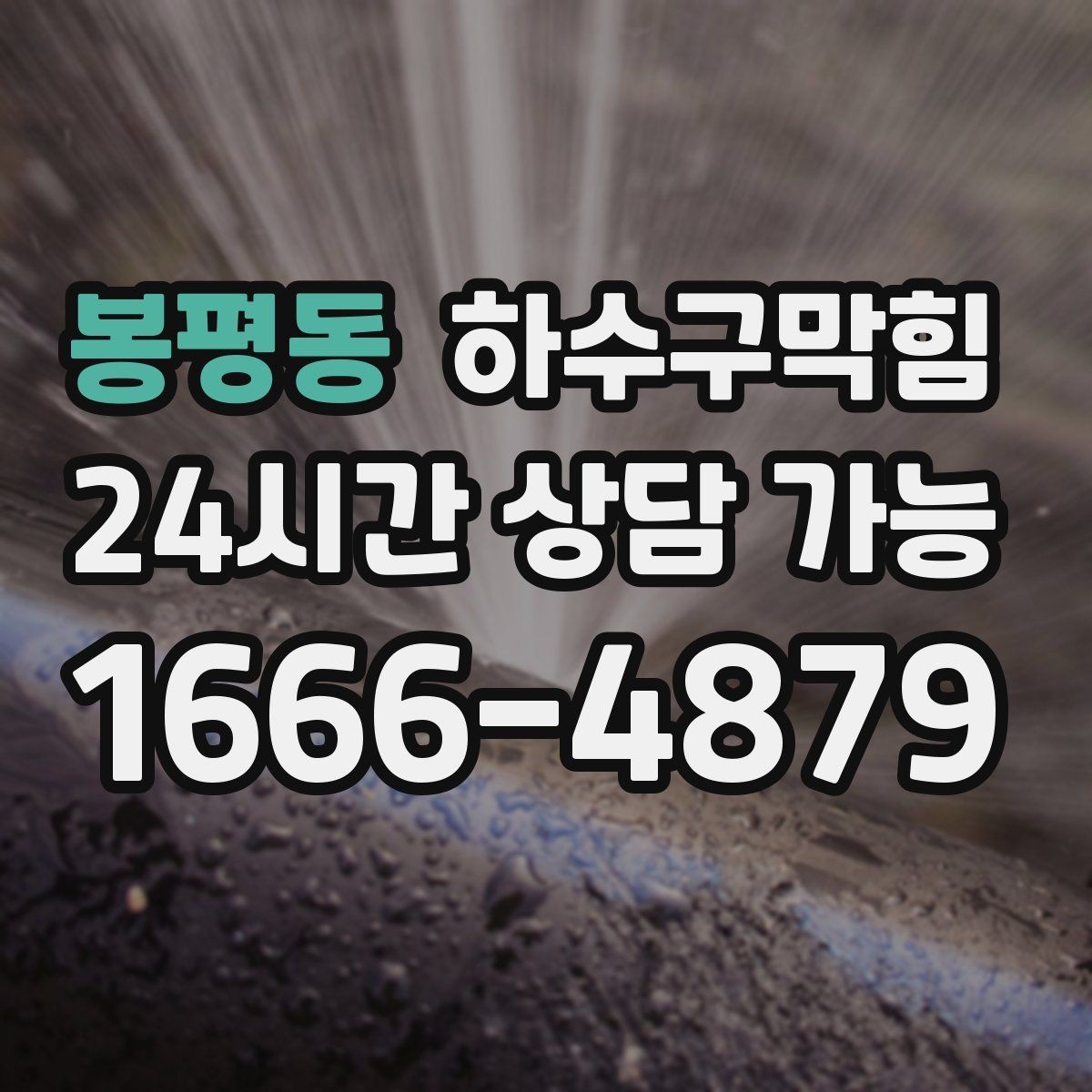 봉평동 하수구막힘 충전 스테이션 근처의 불청객