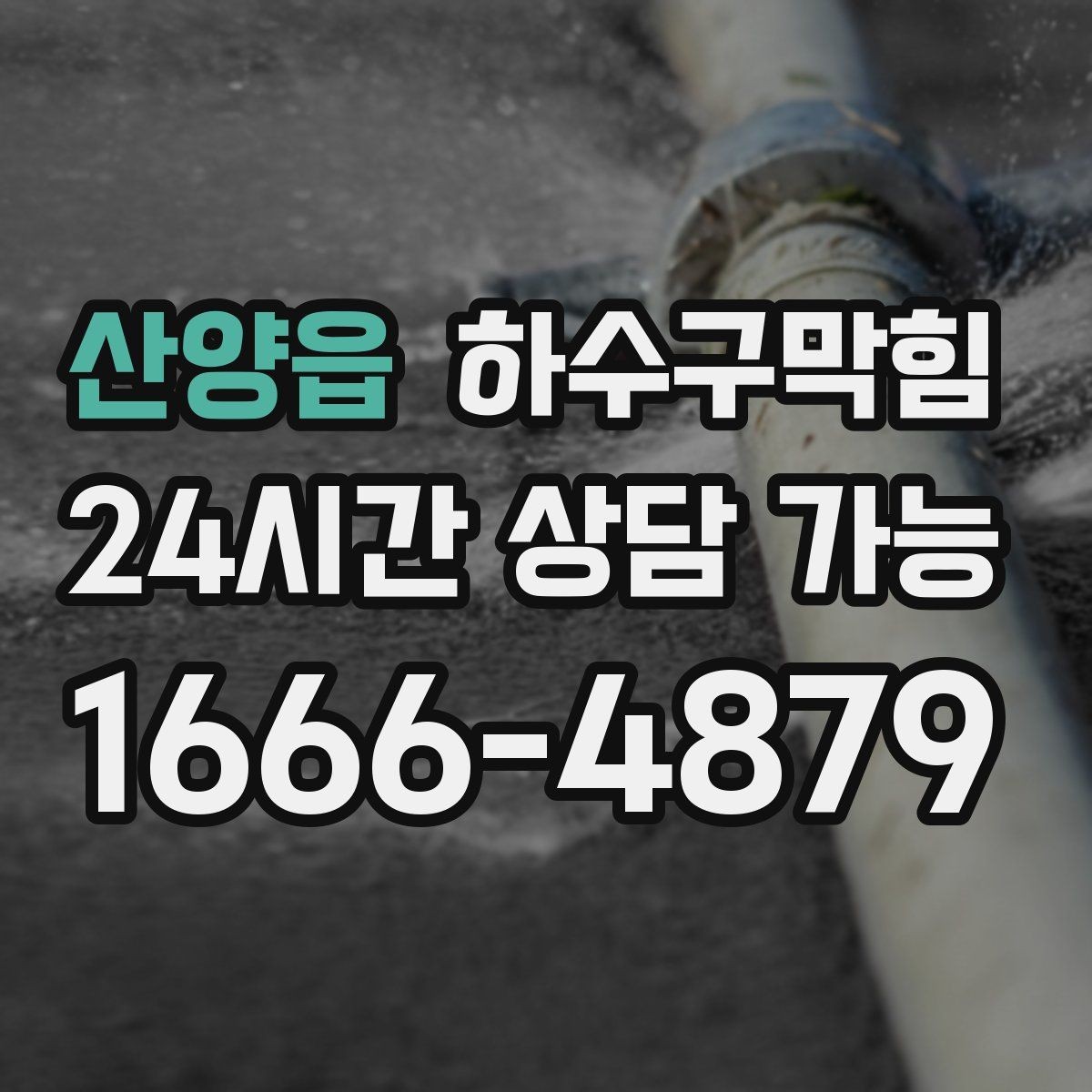 산양읍 하수구막힘 카페 변기뚫는방법만 믿기 어려웠던 이유