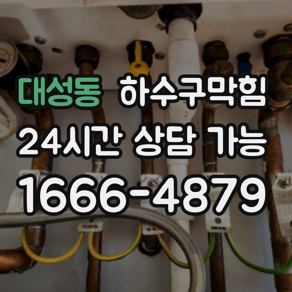 대성동 하수구막힘 직원 식당 배식대 아래의 미스터리