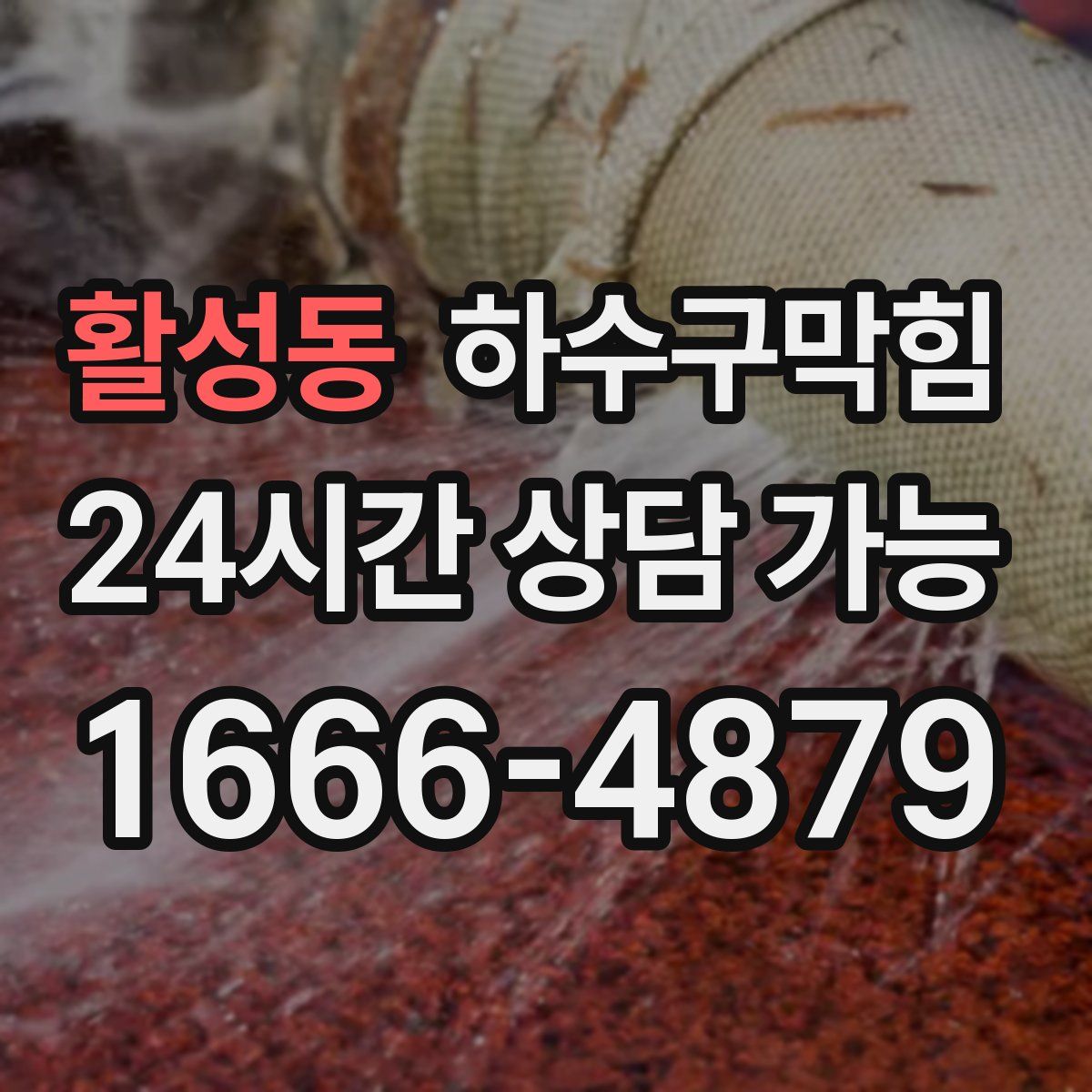 활성동 하수구막힘