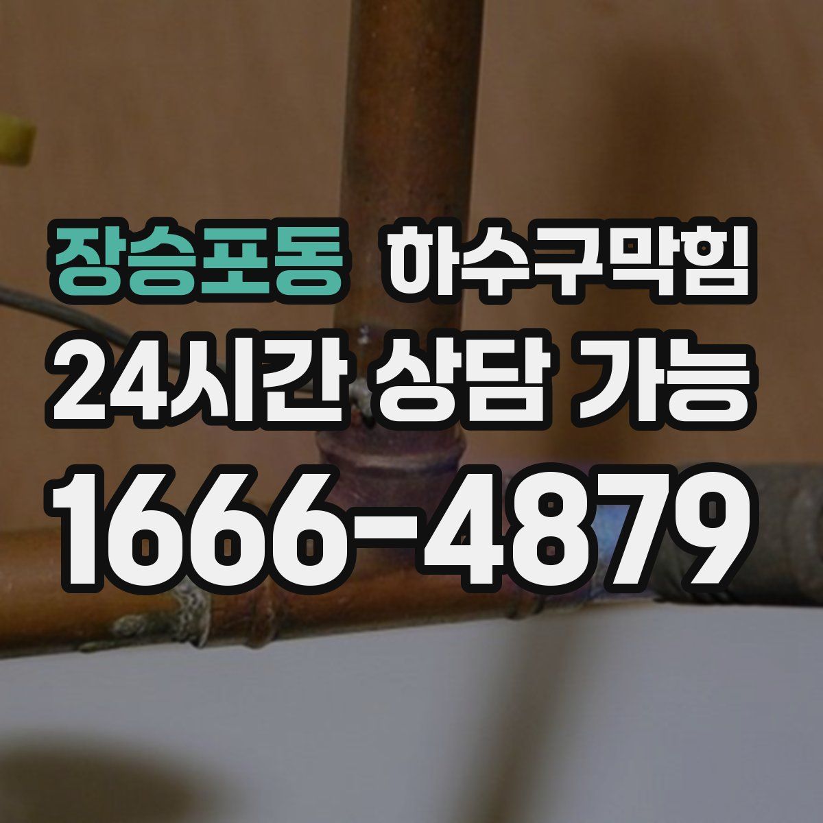 장승포동 하수구막힘