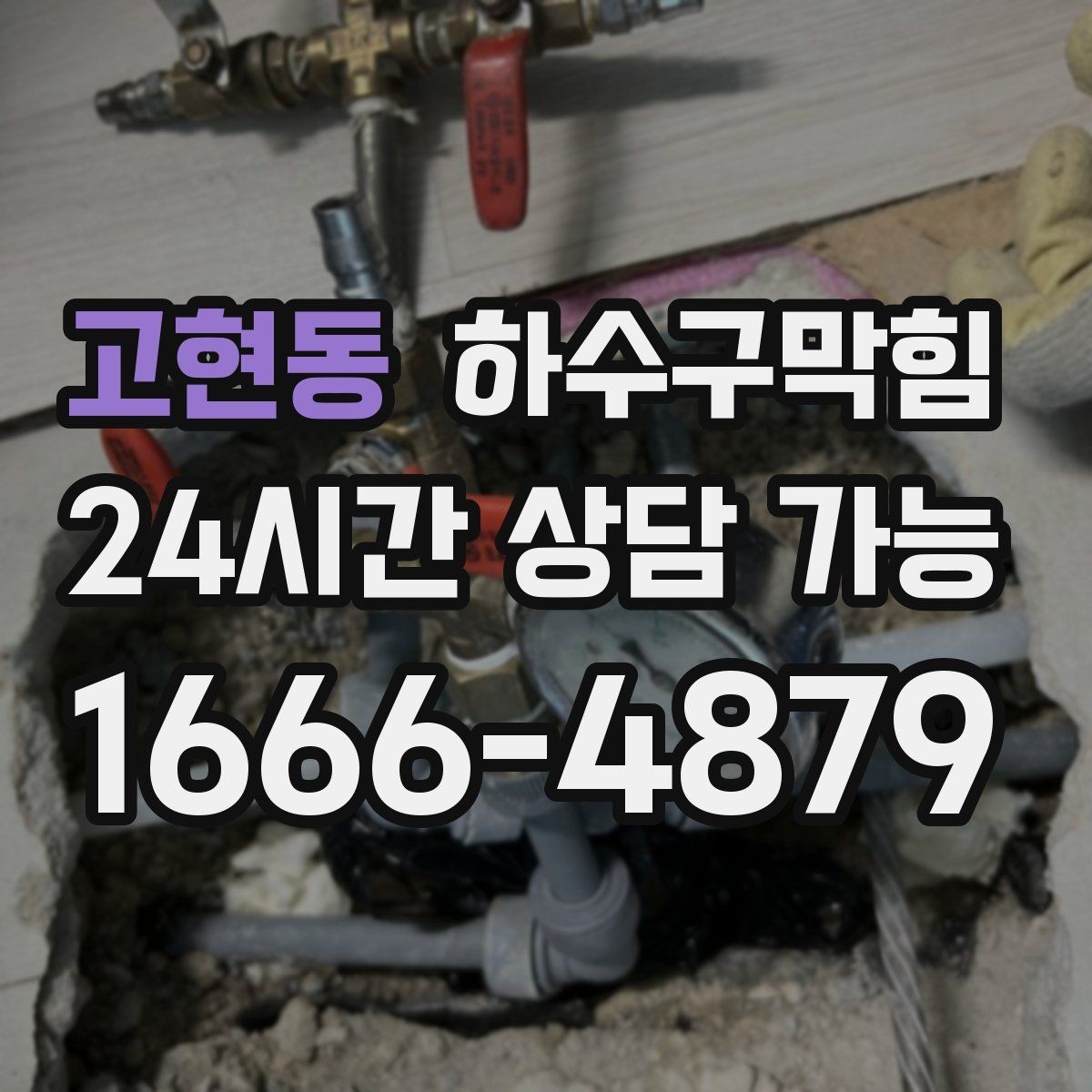 고현동 하수구막힘 카페 오픈 전 주방 라인 점검 노트