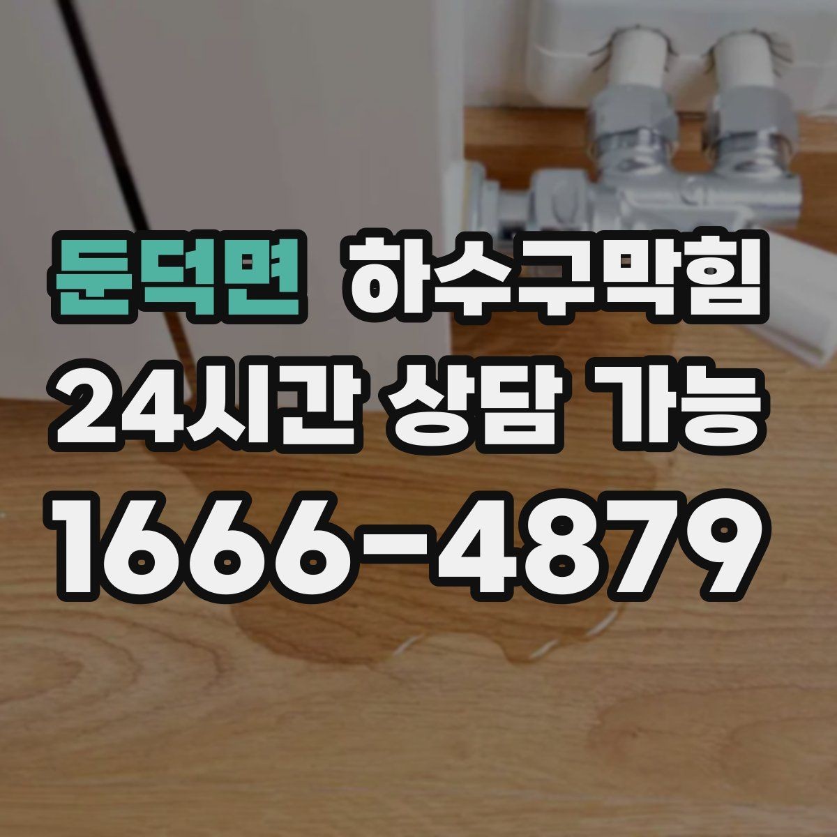 둔덕면 하수구막힘 창가 화분 잎이 축 늘어진 이유